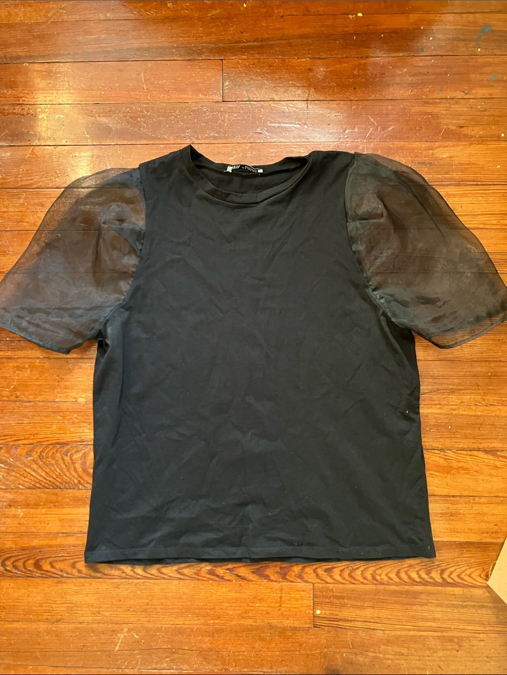 Zara Sheet Organza Puff Sleeve Top